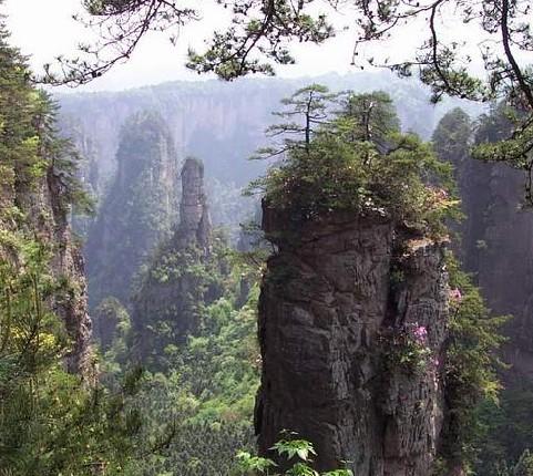 天子山迷人的風光